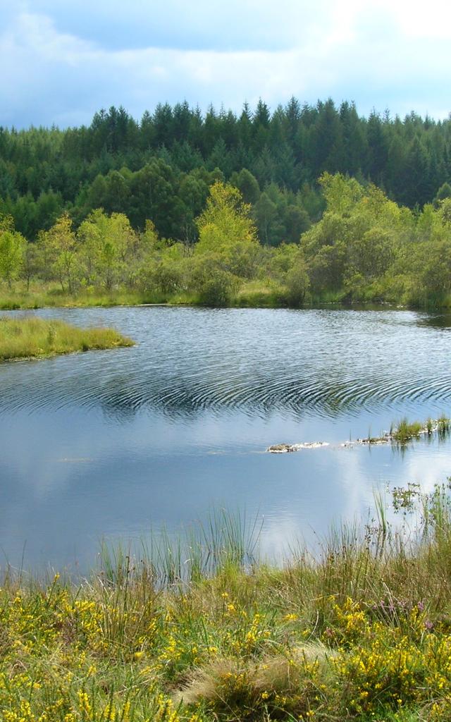 crdits-photo-audrey-berlizon-etang-de-chabannes-tarnac-corrze.jpg