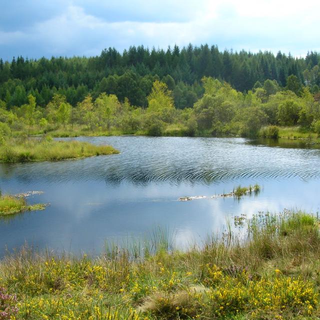 crdits-photo-audrey-berlizon-etang-de-chabannes-tarnac-corrze.jpg