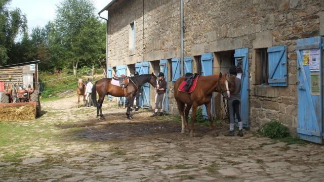 Cheval en Creuse