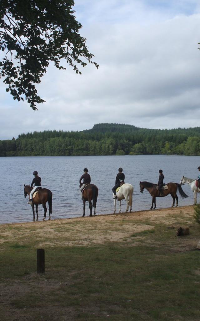 Cheval en Creuse