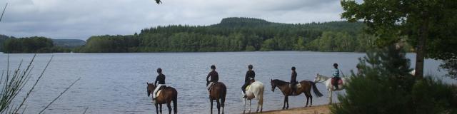 Cheval en Creuse