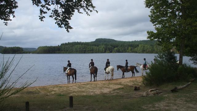 Cheval en Creuse