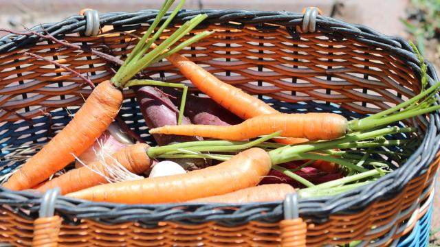 Panier Légumes