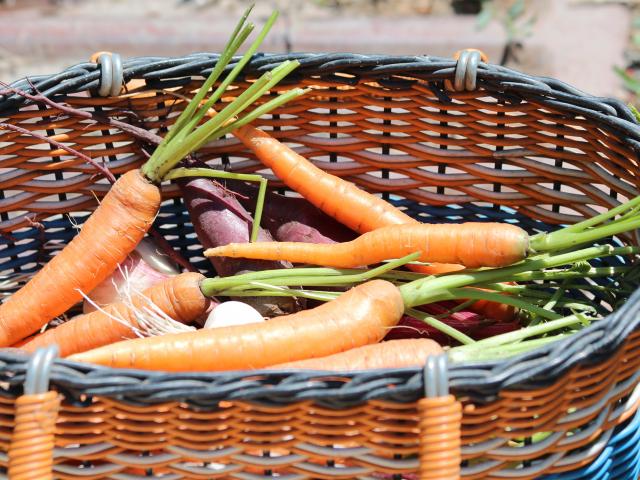 Panier Légumes