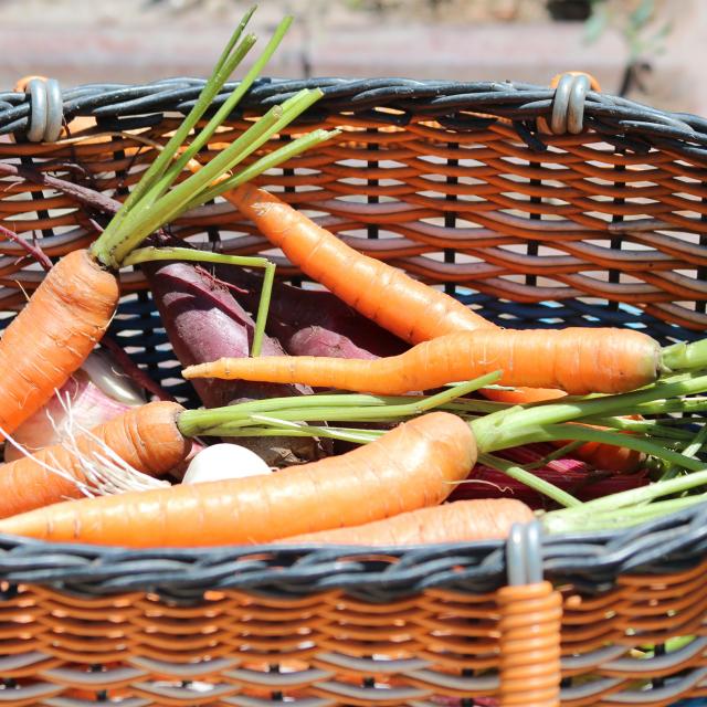 Panier Légumes