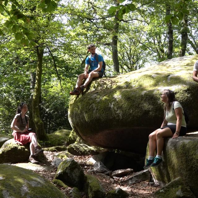 Randonnée en Creuse - Forêt de Chabrières