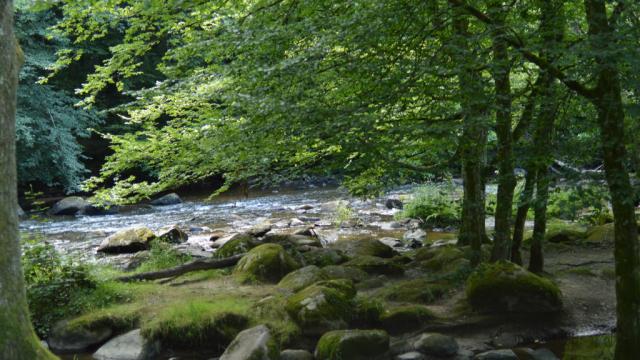 Rivière en Creuse