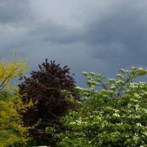 Creuse landscape