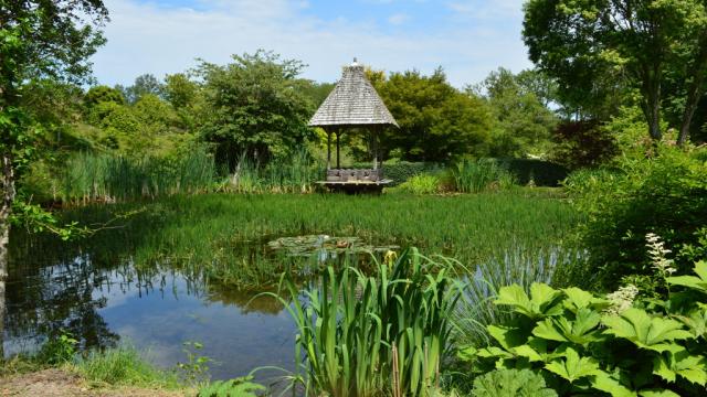 Arboretum de la Sédelle - La Creuse