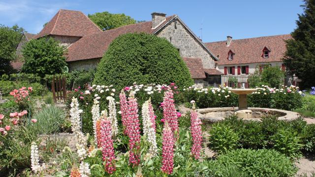 domaine-de-banizette-jardin.jpg