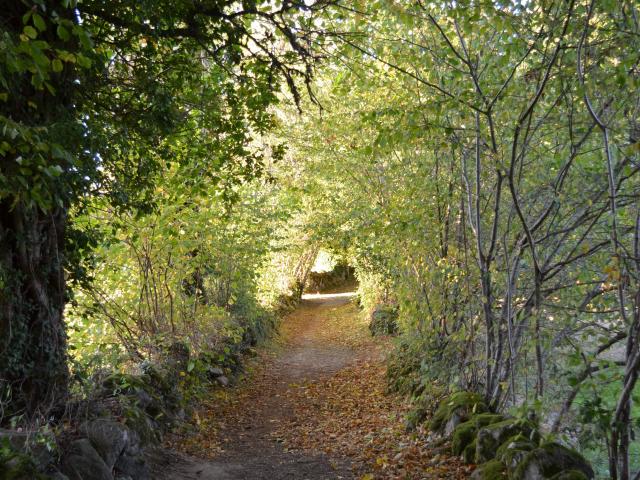 Chemin de randonnée en Creuse