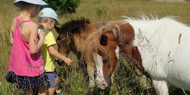 Enfants Poneys