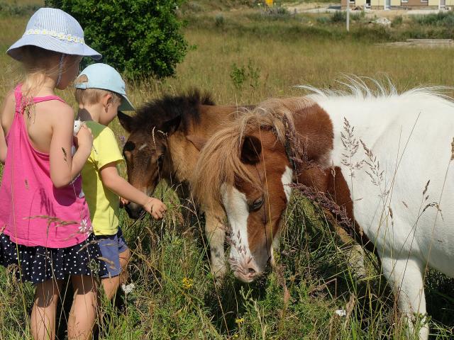 Enfants Poneys