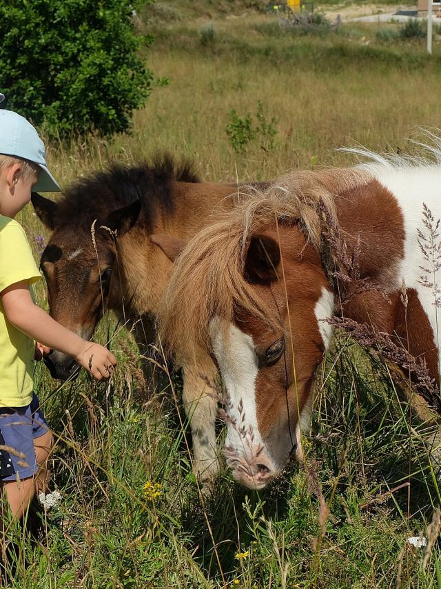 Enfants Poneys