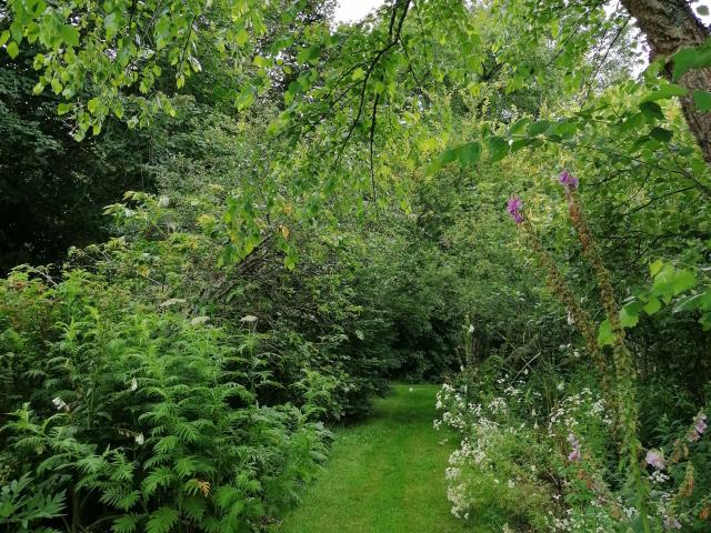 Jardin dans la Sagne - la Creuse