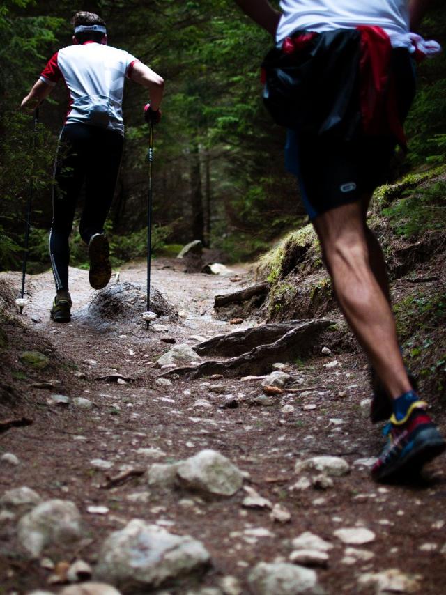 Trail Plateau De Millevaches