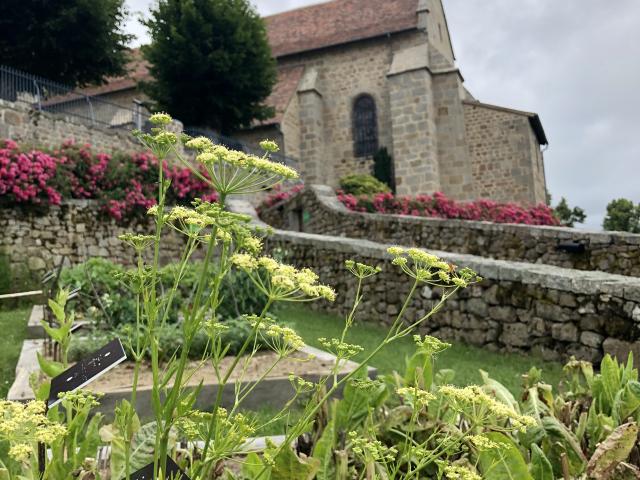 St Georges Nigremont©aline Gorsse8