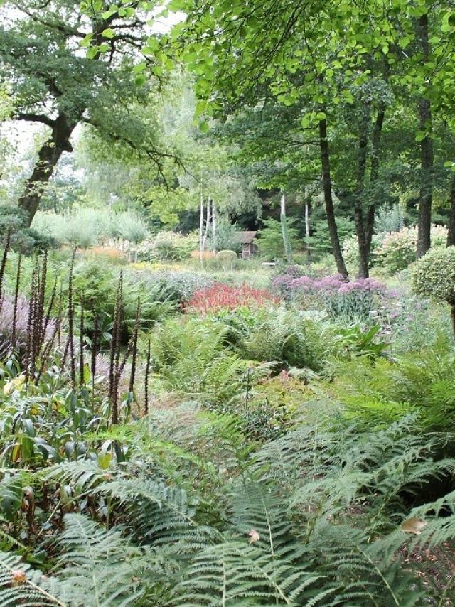 Jardin Val Maubrune - La Creuse