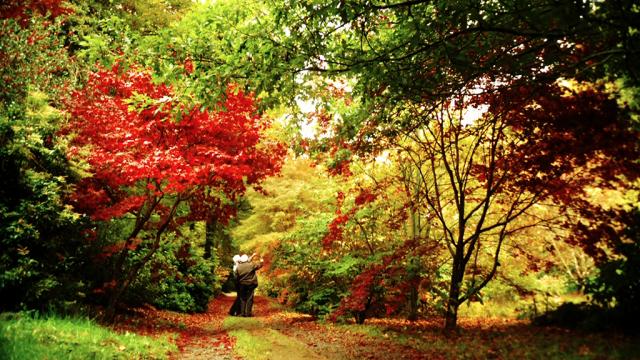 Automne En Creuse ©J.Froment