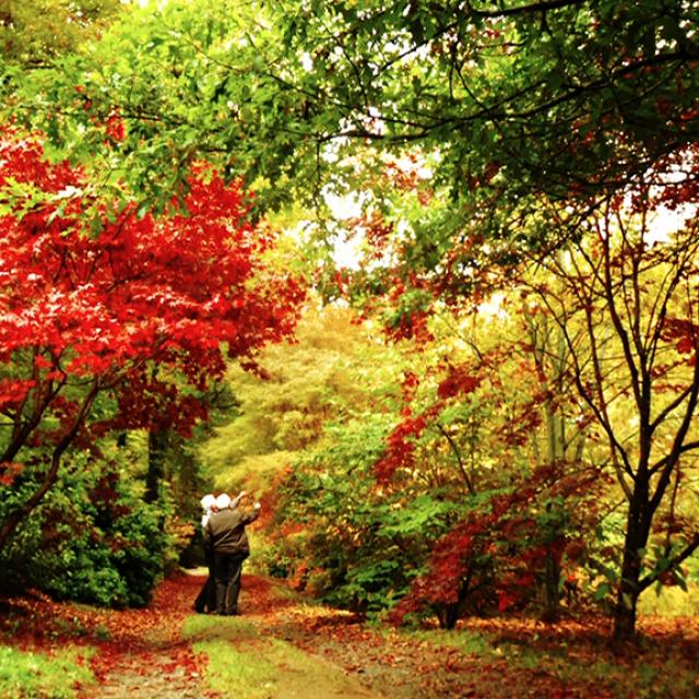 Automne En Creuse ©J.Froment