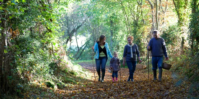 Balade D'automne En Creuse