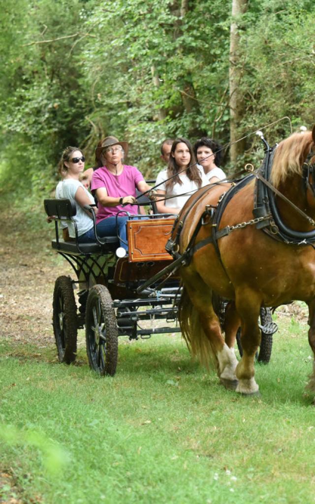 la-celle-dunoise-paradis-pablo-equitation-attelage-j-damase-20164-1024px.jpg