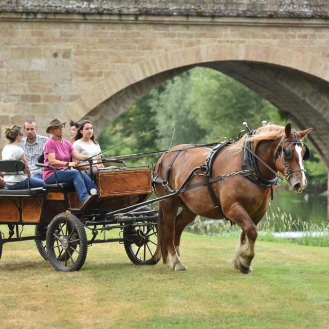 la-celle-dunoise-paradis-pablo-equitation-attelage-j-damase-20165-1024px.jpg