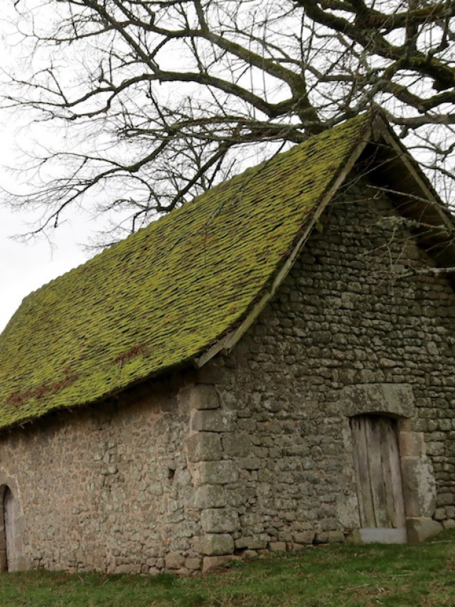 chapelle-du-mas-saint-jean-1.png