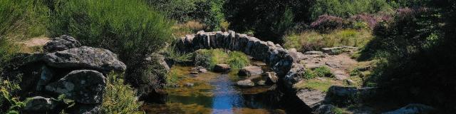 Pont de Sénoueix - Vassivière, Plateau de Millevaches