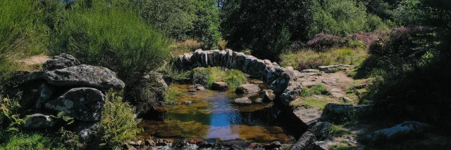 Pont de Sénoueix - Vassivière, Plateau de Millevaches