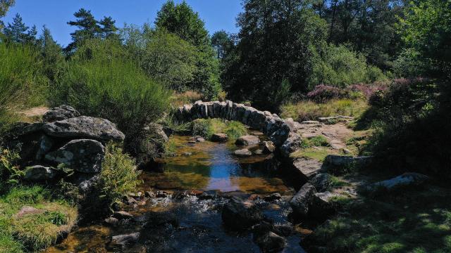 Pont de Sénoueix - Vassivière, Plateau de Millevaches