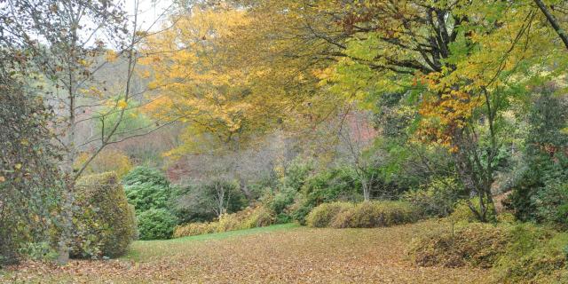 arboretum-de-la-sedelle.jpg