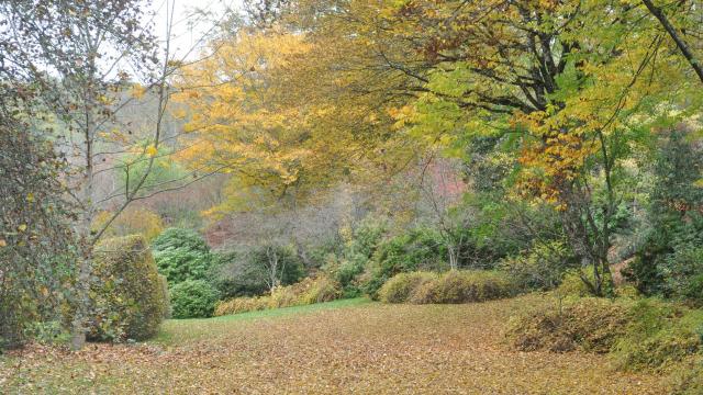 arboretum-de-la-sedelle.jpg