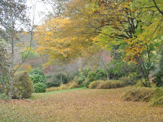 arboretum-de-la-sedelle.jpg