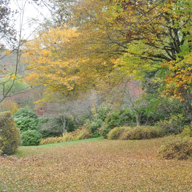 Arboretum De La Sédelle