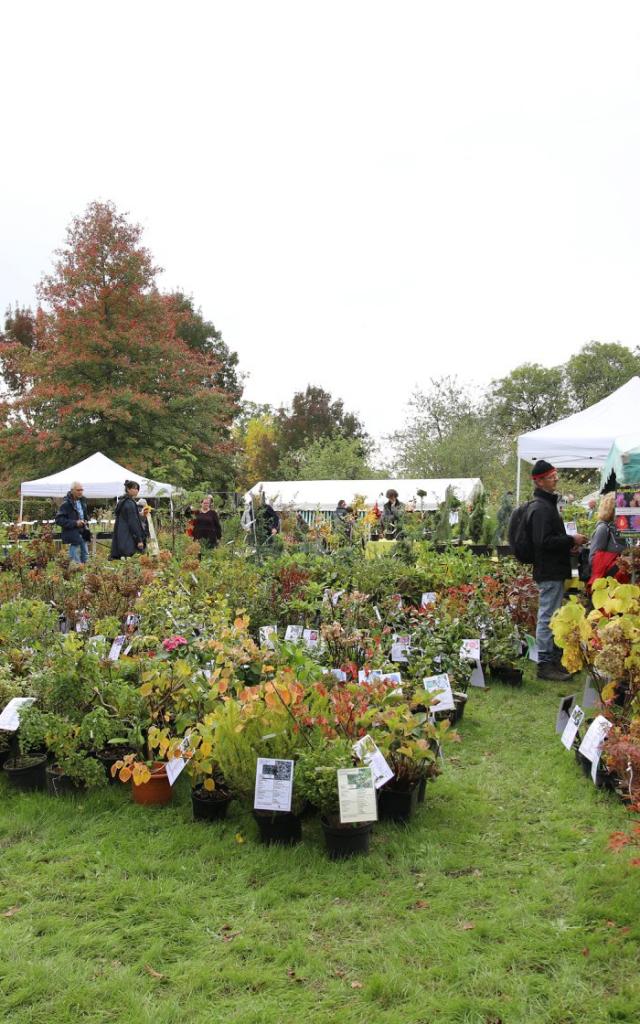 arboretum-de-la-sedelle-fete-des-plantes.jpg