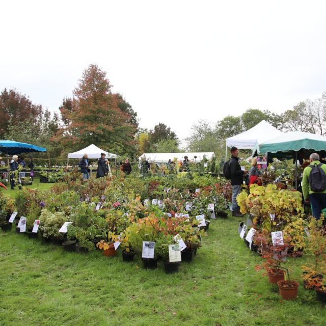 arboretum-de-la-sedelle-fete-des-plantes.jpg