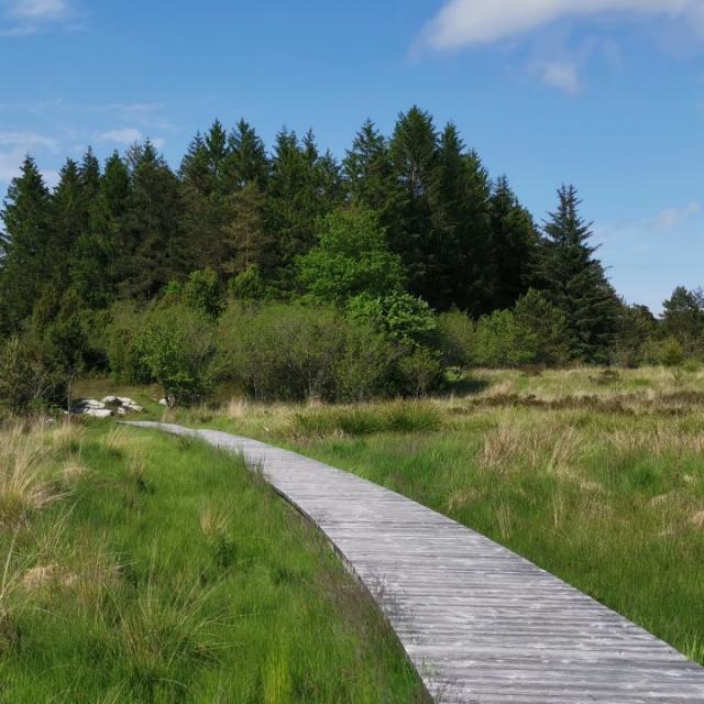 Landes et tourbières De La Mazure