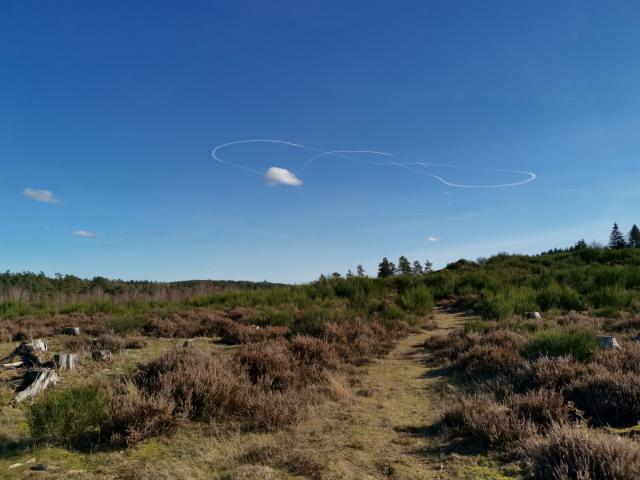 landes-et-tourbieres-de-la-mazure-16.jpg