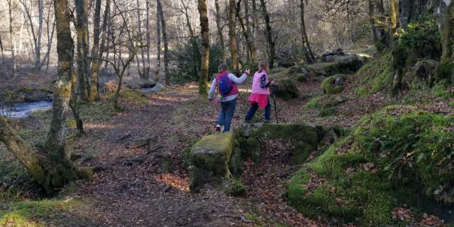 landes-et-tourbieres-de-la-mazure-35.jpg