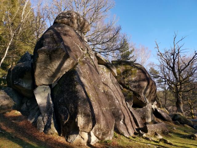 landes-et-tourbieres-de-la-mazure-41.jpg