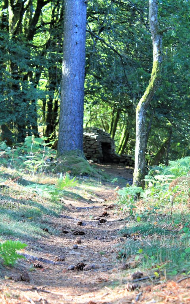 Rando Guide des Monts de Saint Goussaud