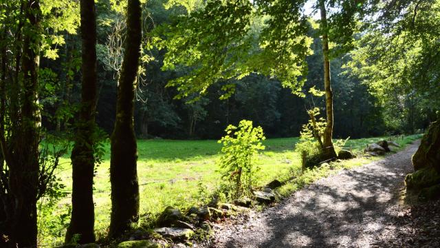 Les gorges du Verger