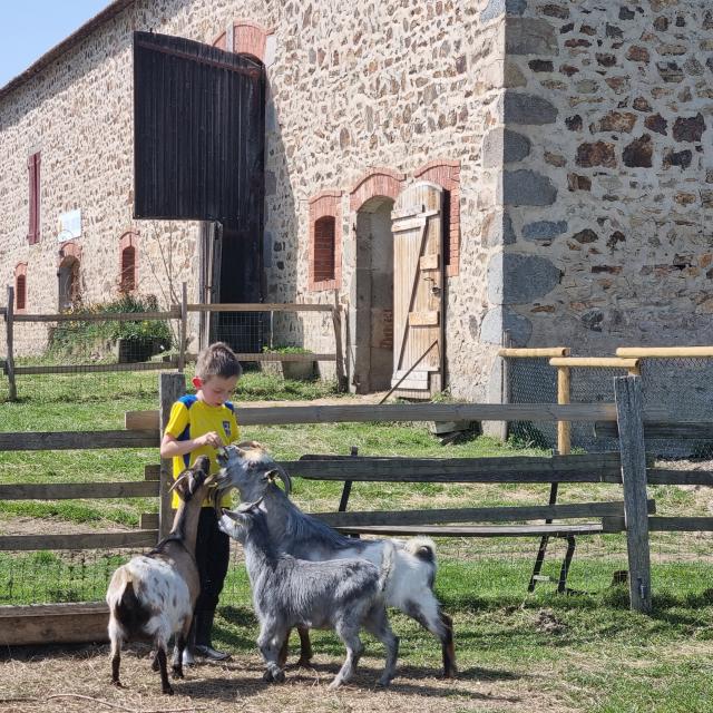 ferme-des-clautres-1042021-4.jpg