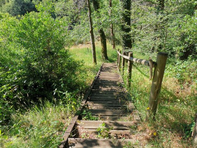 Les gorges du Verger