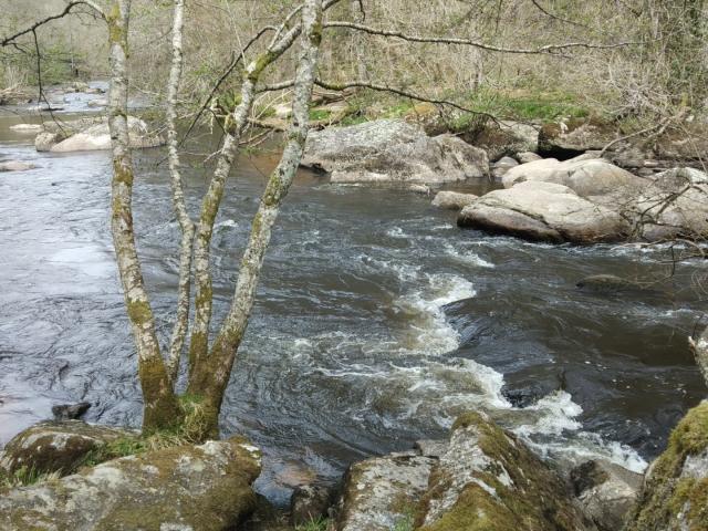 Les gorges du Thaurion