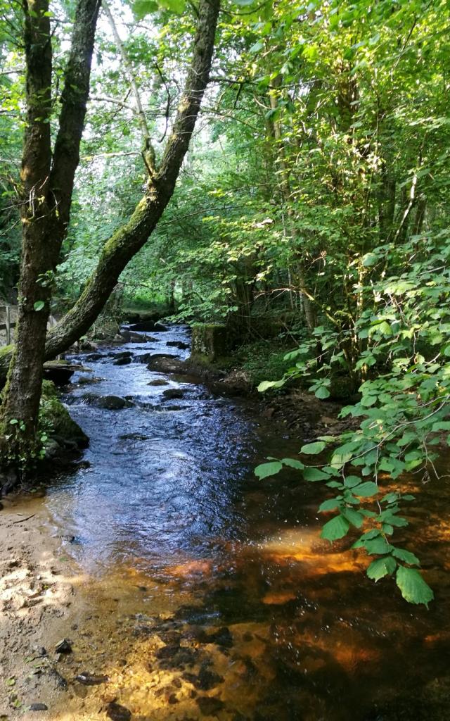 Les gorges du Verger