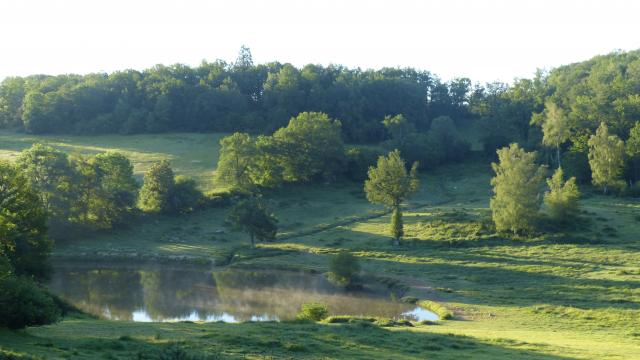 Nalèche Printemps