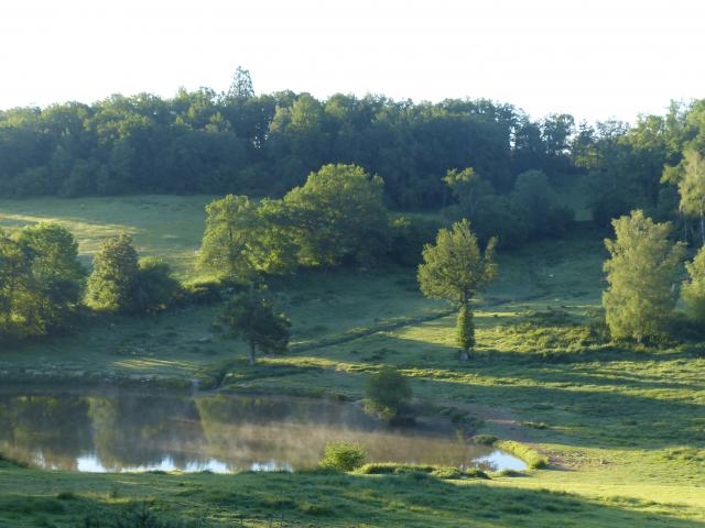 Nalèche Printemps