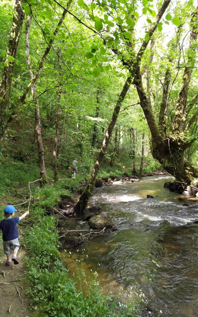 La forêt d'Epagne